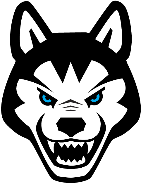 Northeastern Huskies 2001-2006 Alternate Logo diy DTF decal sticker